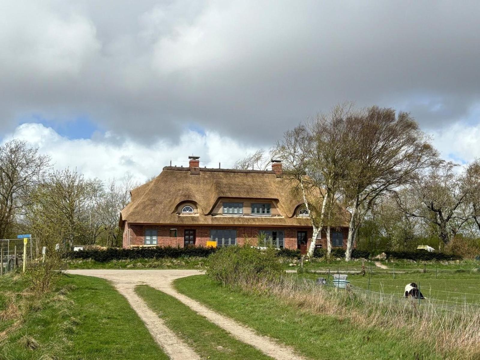 Ferienhaus Dammwaerterhaus 1924 *