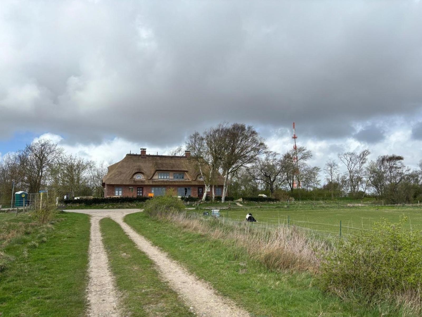Dammwaerterhaus 1924